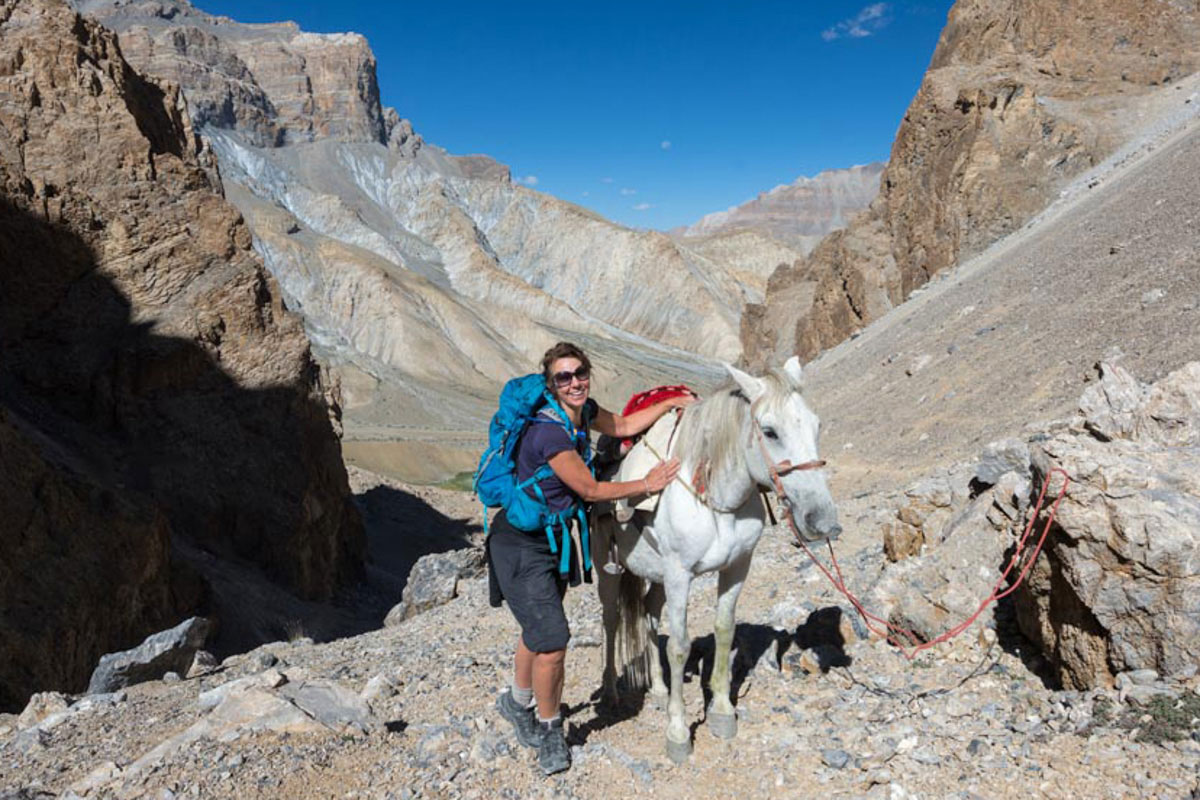 Nubra Valley, Ladakh, North India, Asia, … – License image